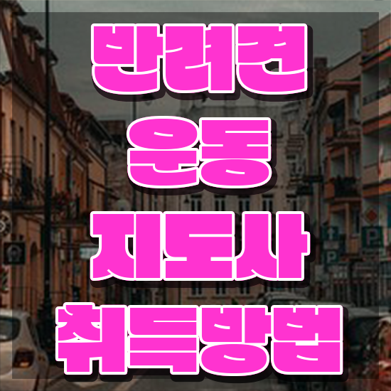  국가 자격증 추천 , 반려견운동지도사 관련학위 없어도 손쉽게 성공한 꿀팁 모음