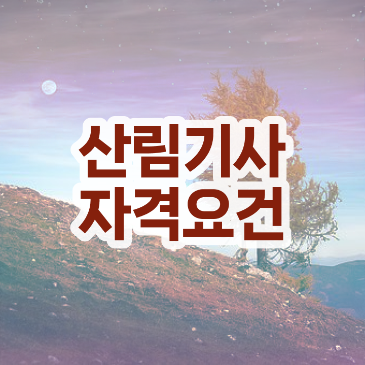  산림기사 필기 합격 산림기사 응시자격 인강만 듣고 4달 안에 끝낸 과정