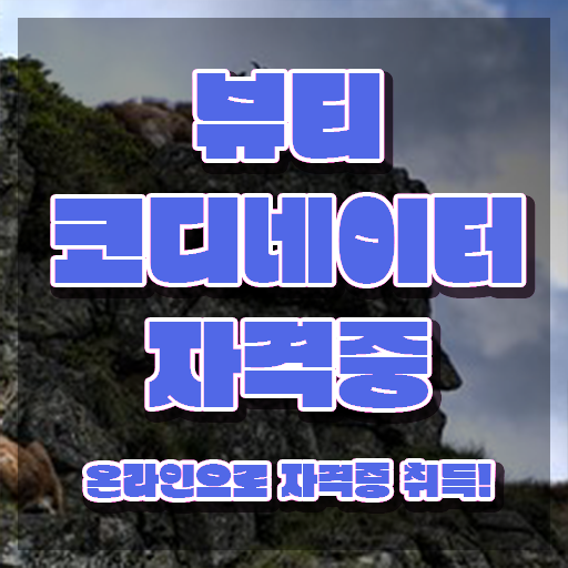  방송스타일리스트자격증 , 뷰티코디네이터 자격증 15일 만에 취득했던 후기 , 구직정보