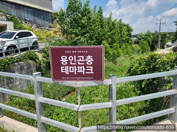  용인시 비올때 아이와 곤충테마파크(주차, 체험정보, 유정란훔쳐오기 등)