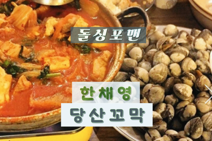 돌싱포맨 <b>한채영</b> 꼬막 돼지두부탕 식당 위치