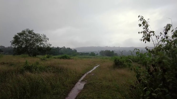  테란 자격증 취득한 정보 알아볼게요