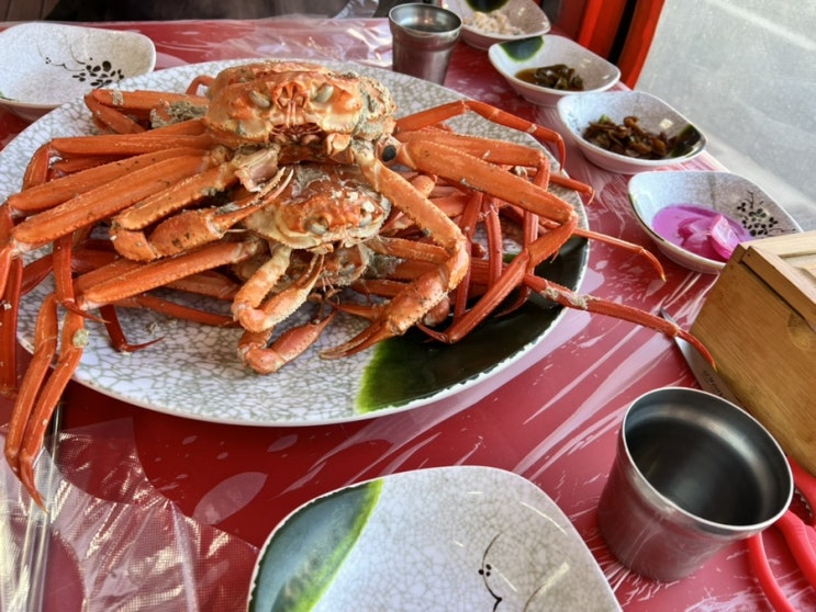  속초 홍게 무한리필 맛집 <승진호 홍게 무한리필>
