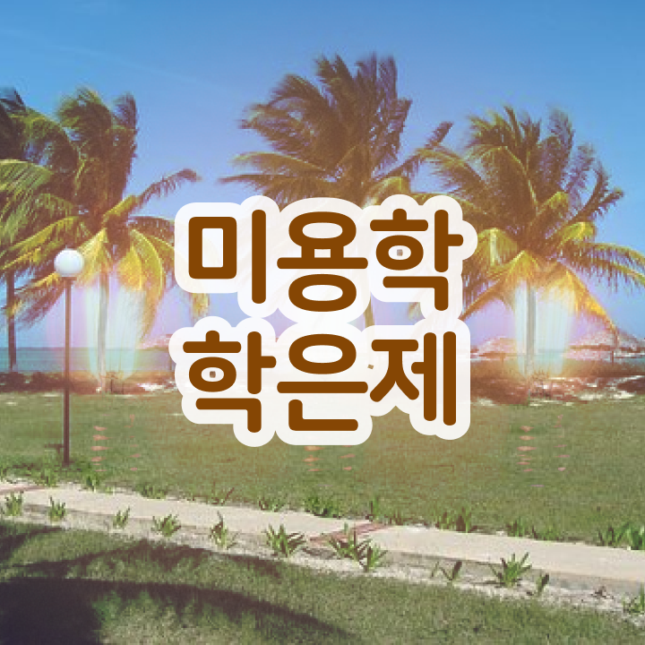  헤어디자이너 승희 , 실습없이 온라인과정으로 국가미용자격증 갖출 수 있어요