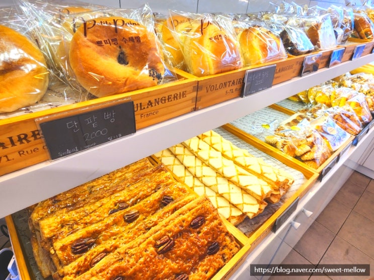  부천 송내역 근처 꼭 가야 할 빵집 소금빵 맛집 후기