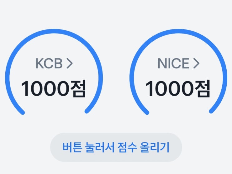 신용점수 1000점 (KCB, NICE) 신용점수에 영향을 미치는 요인은? 신용점수 1000점 (KCB, NICE) 신용점수에 영향을 미치는 요인은?