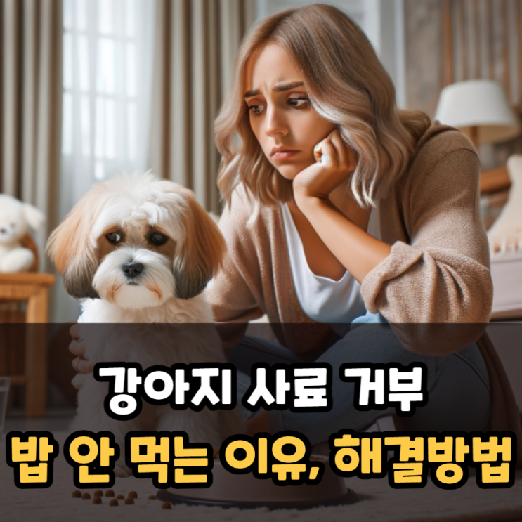  강아지 사료 거부 밥 안 먹는 이유와 해결 방법