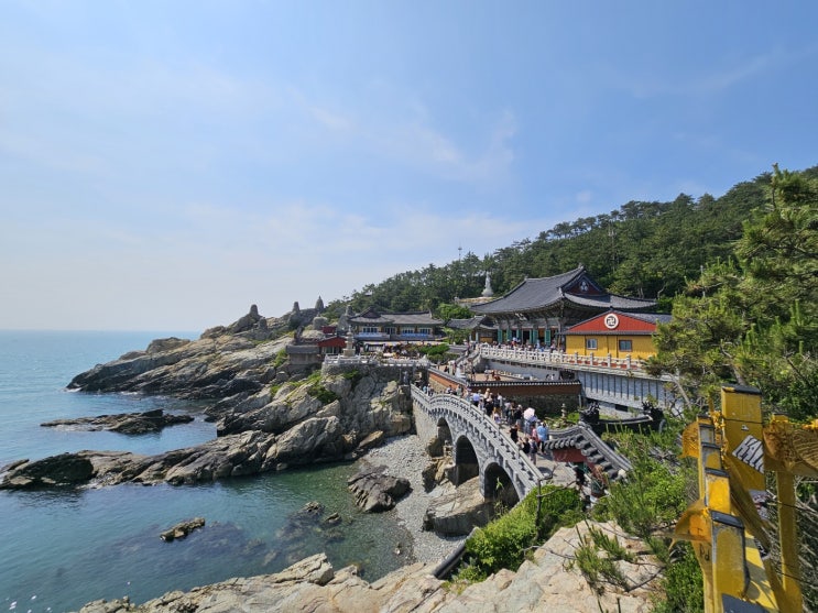  부산 해동용궁사 주차장 카페 일출명소
