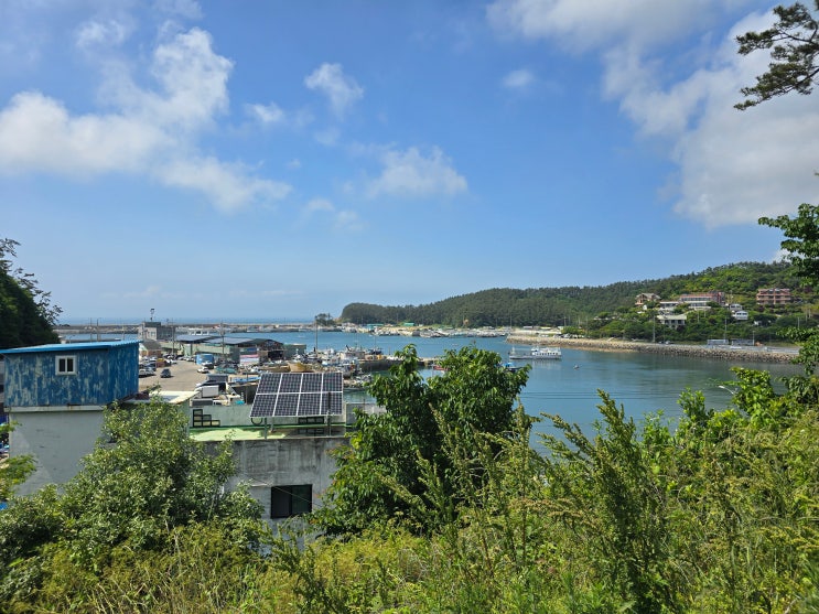 태안 여행으로 가볼만한 곳 모항항 태안 여행으로 가볼만한 곳 모항항