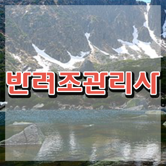  말하는 앵무새 카페 , 반려조관리사 자격증 학습한 후기 핵심 정보