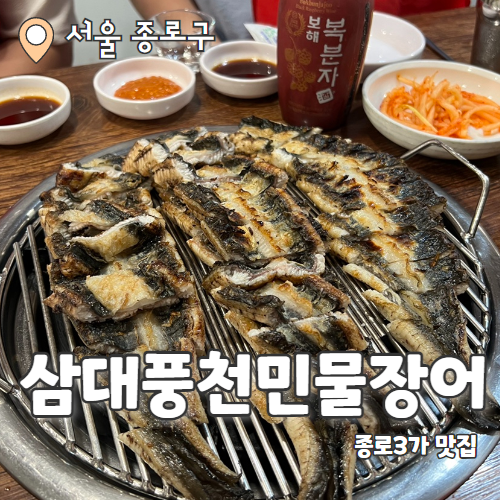  삼대풍천민물장어 : 종로3가 속 찐 장어맛집 내돈내산 후기
