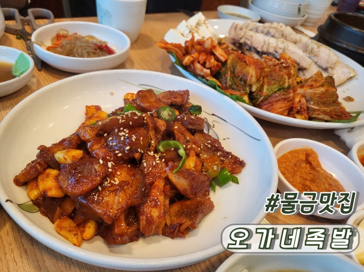  양산물금맛집 물금족발맛집 물금찐맛집 추천 오가네족발