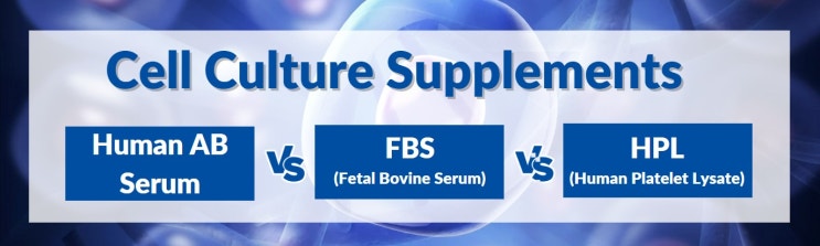  Cell Culture Media Supplement : Human AB serum vs FBS vs Human Platelet Lysate(HPL)