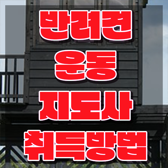  40대여성자격증 , 반려견운동지도사 인강으로 학점따서 실무경력 없어도 간편하게 준비했던 과정