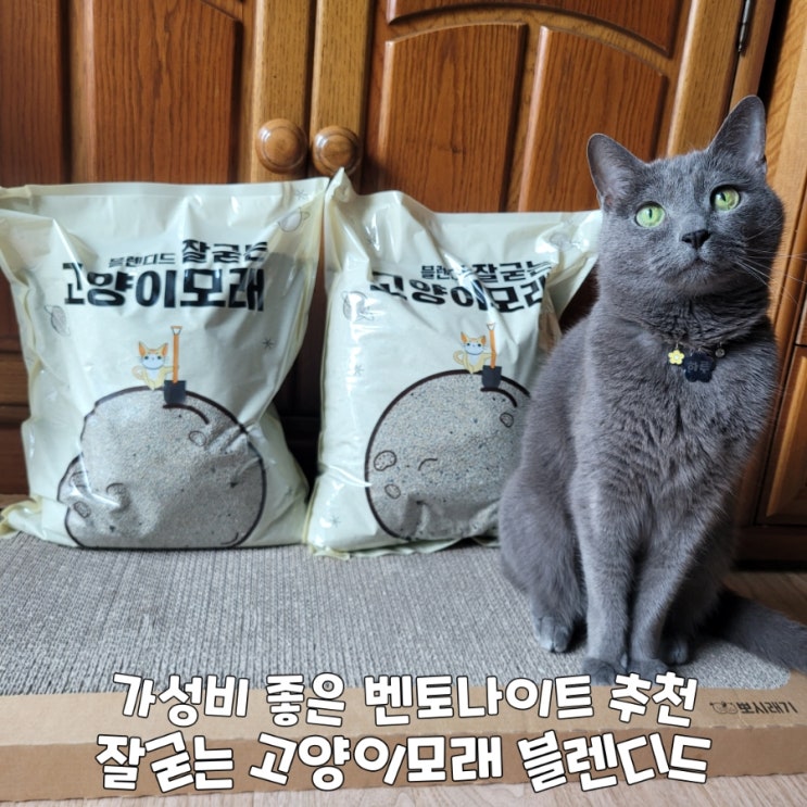  가성비 좋은 벤토나이트 추천 잘굳는 고양이모래