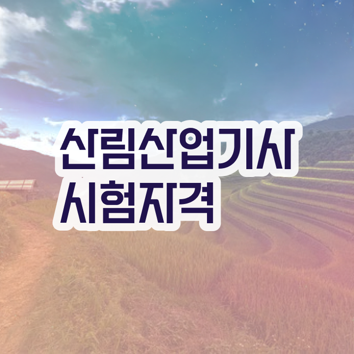  산림산업기사 학점은행제 산림산업기사 시험자격 인강만 듣고 반 년만에 끝낸 팁