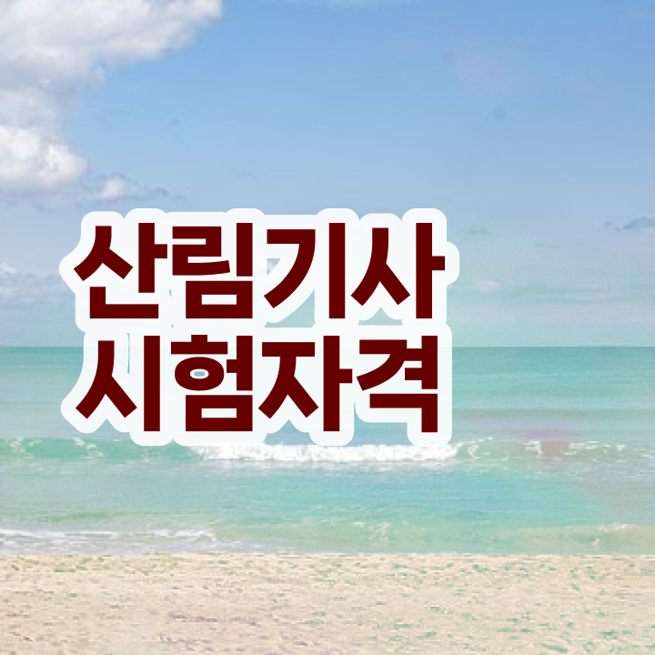  산림기사 연봉 산림기사 시험자격 독학으로 4개월 만에 끝낸 노하우