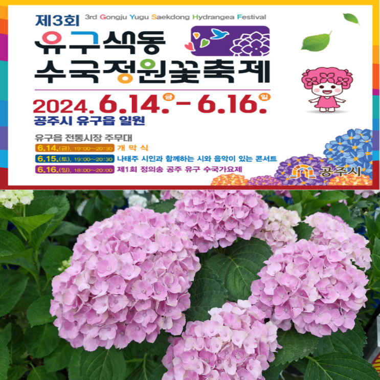  공주 수국축제 기본 정보, 프로그램, 주차 유구색동수국정원