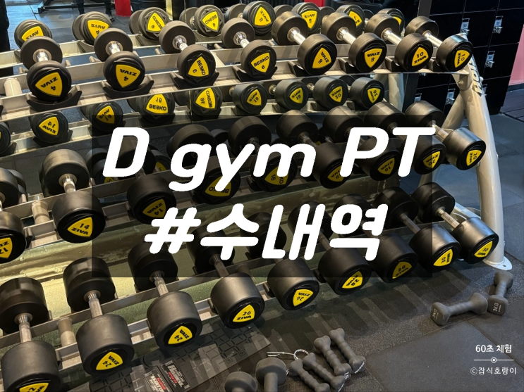  분당 수내역 1:1 PT 전문 Dgym(디짐) 김남길 트레이너 수업 후기