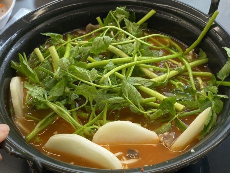  역삼역 칼국수 맛집 등촌샤브칼국수 언주점