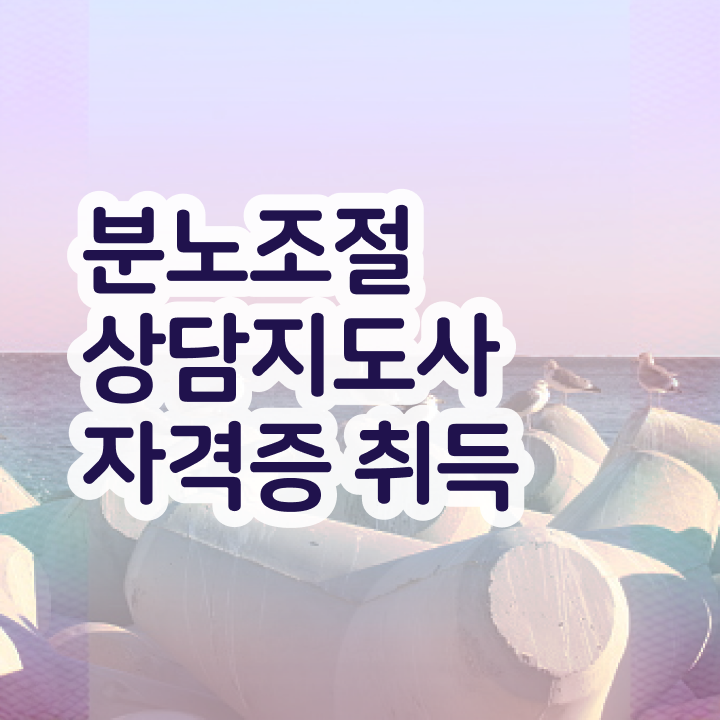  유아 분노조절장애 , 분노조절상담지도사 공부한 방법 및 학습과정