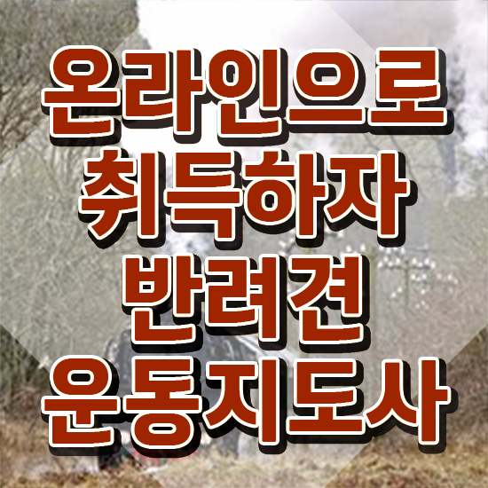  기술 자격증 추천 , 반려견운동지도사 관련학위 없어도 간단하게 성공한 방법