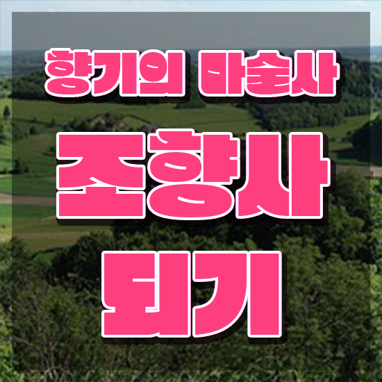  40대추천자격증 , 조향사 온라인 수업만으로 직장인도 편하게 끝낼수 있었던 팁