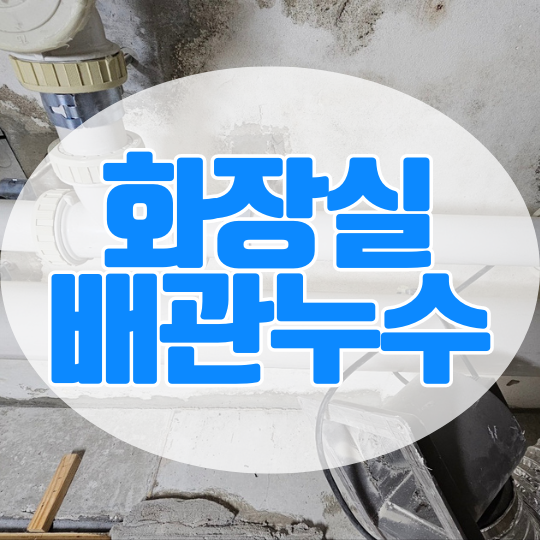  동탄 아랫집 화장실 누수ㅣ능동 아파트 배관 자체 문제라면?