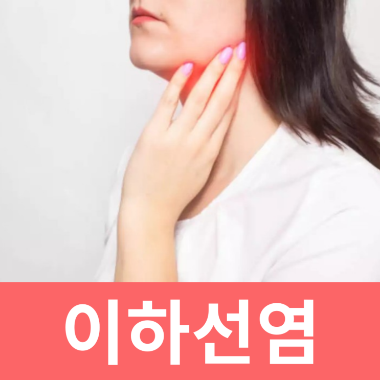 침샘염 원인 성인 이하선염 증상 귀밑 턱 멍울 약 전염