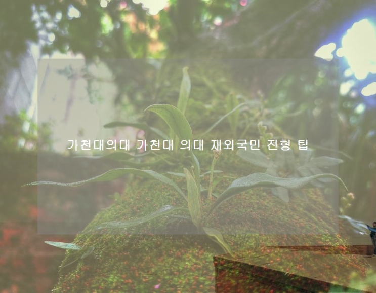 가천대의대 가천대 의대 재외국민 전형 팁 가천대의대 가천대 의대 재외국민 전형 팁