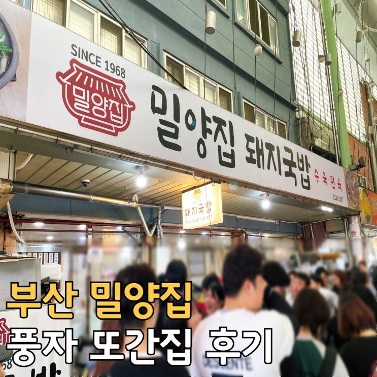  부산 밀양집 풍자 또간집 돼지국밥 솔직 후기