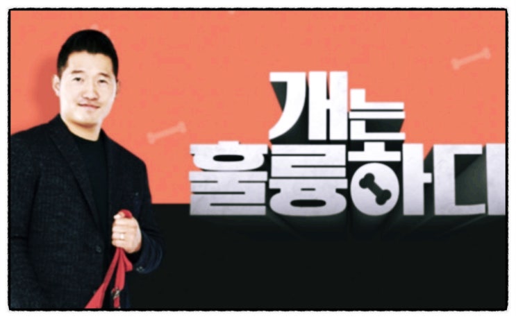 KBS 개는 훌륭하다 <b>개훌륭</b> 방영 재개 <b>강형욱</b> 제외 진행 결정