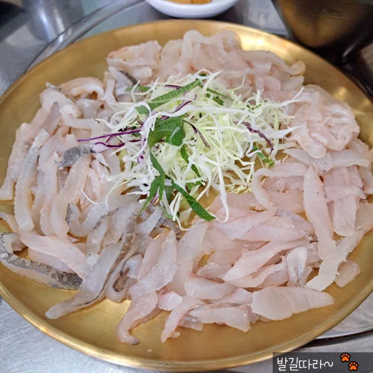  일산 백석역 맛집 '153일산회' 싱싱한 부산식 막회