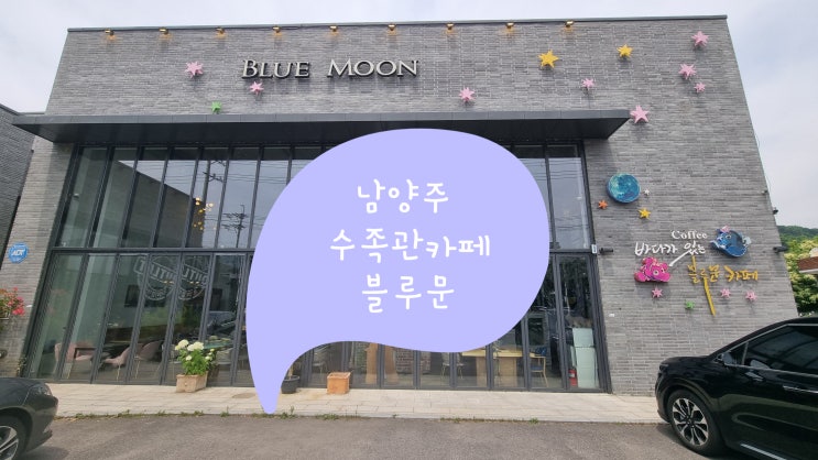  남양주 블루문 수족관 카페 / 아이랑 가족 주말 갈만한 곳