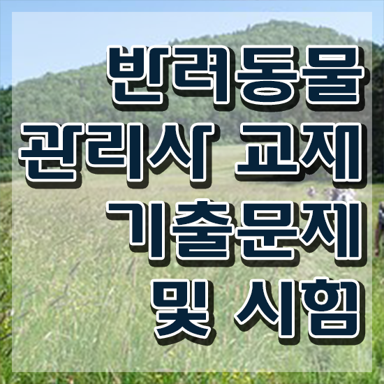  강아지 훈련사 자격증 , 반려동물관리사 자격증 온라인으로 쉽게 취득했던 후기 , 고용 전망