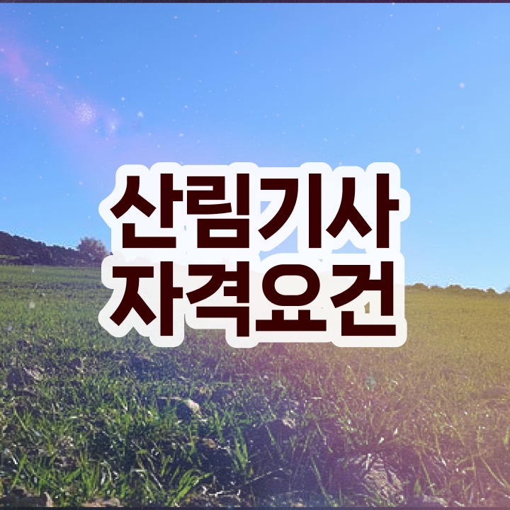  산림기사 국비지원 산림기사 시험자격 학점은행제로 빠르게 준비한 후기