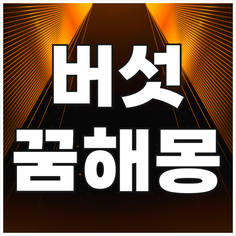 버섯꿈, 버섯따는꿈 송이버섯꿈, 영지버섯꿈 해몽 정리
