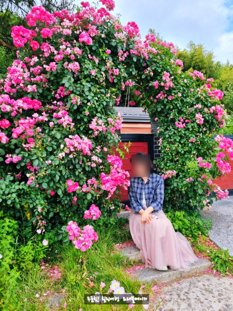  황리단길 소품샵 베어 58, 경주 장미 명소 젤라꾸띠