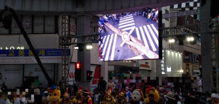  울산 마두희 축제 큰줄당기기