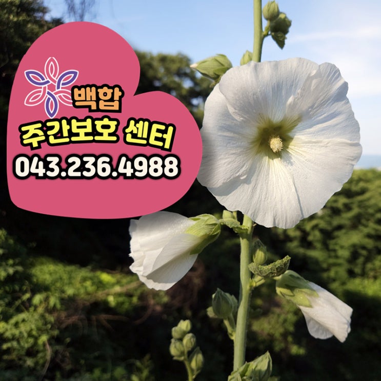  청주주간보호센터 어르신들과 함께한 다채로운 일상들