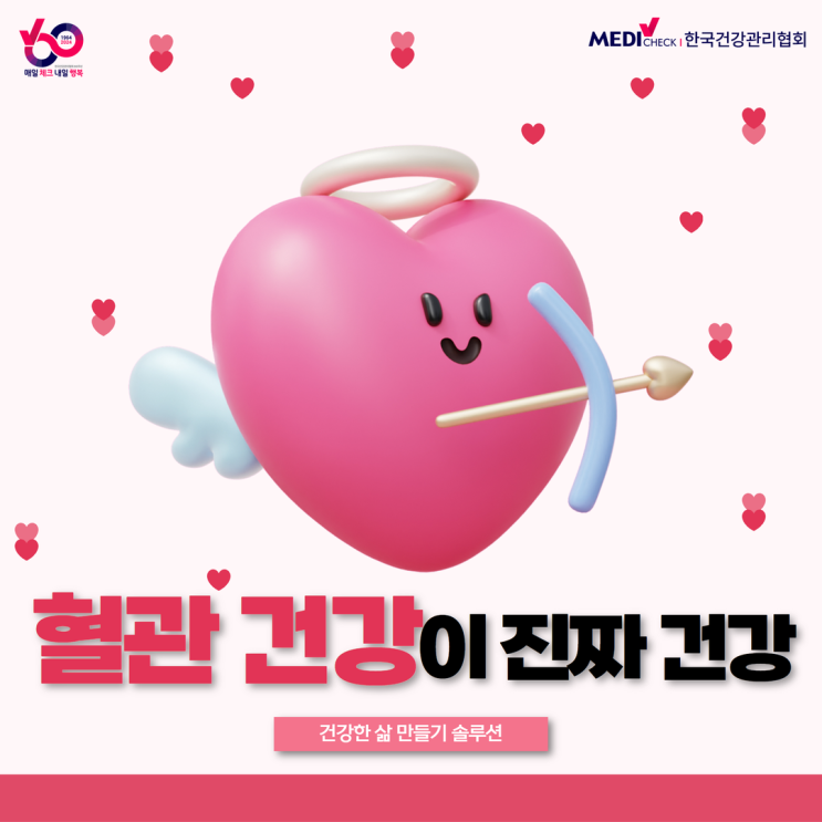  혈관 건강이 진짜 건강