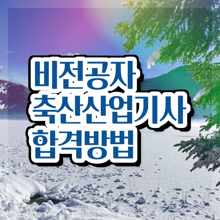  축산산업기사 필기합격률 축산산업기사 시험응시자격 인강으로 4달 안에 완료한 노하우
