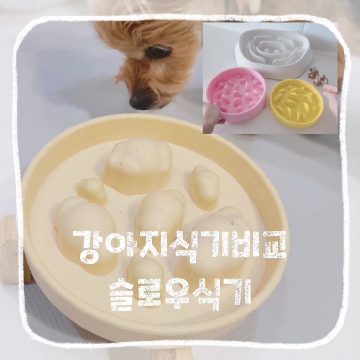  강아지 슬로우식기 급체방지 실리콘식기 플라스틱 도자기 식기비교