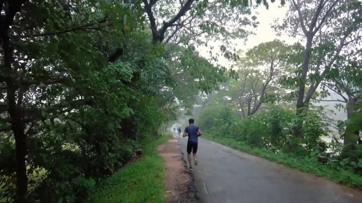  라파엘 라파엘로 자격증 쉽고 빠르게 취득한 방법 여기만 보세요