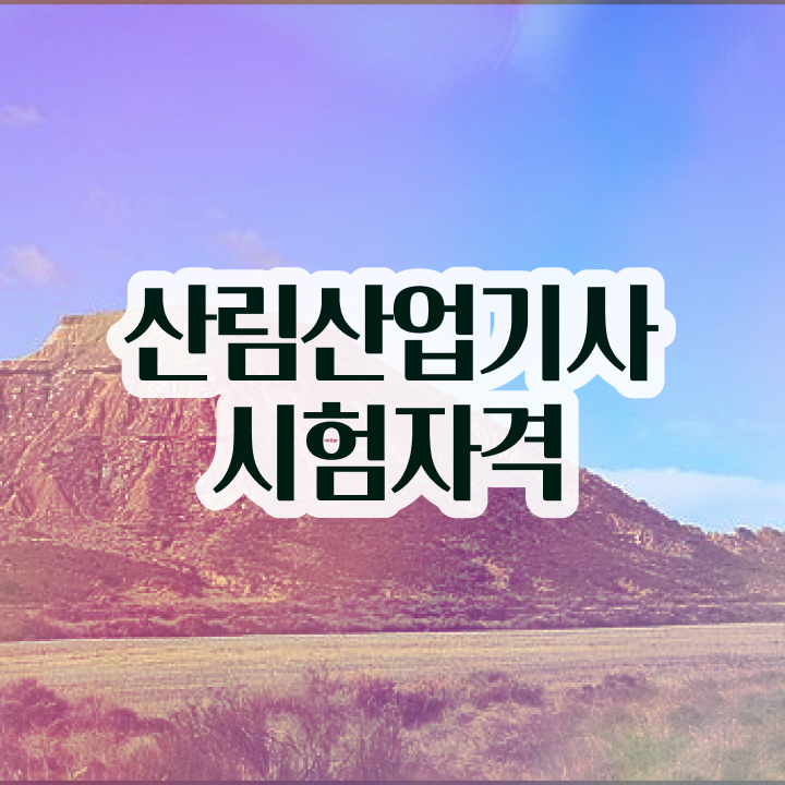 산림산업기사 필기 인강 산림산업기사 응시자격 학점은행제로 15주만에 성공한 과정