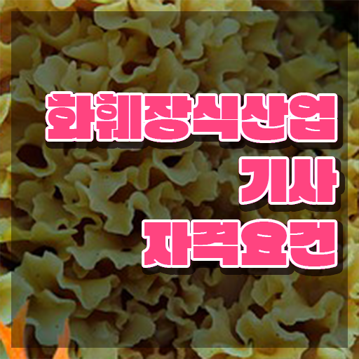  화훼장식산업기사 공부방법 화훼장식산업기사 시험응시조건 집에서 온라인으로 편하게 성공한 팁