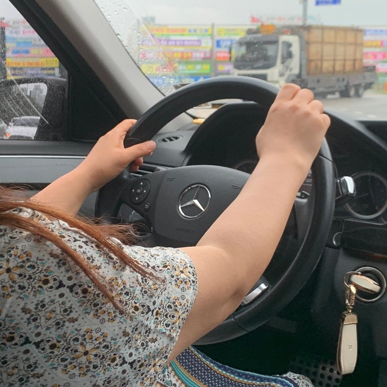 용골 사진 2