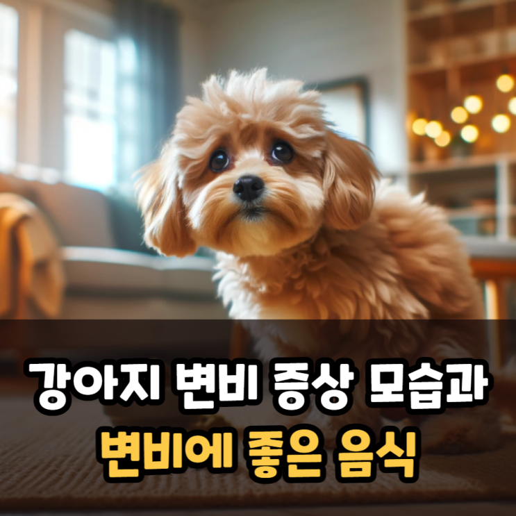  강아지 변비 증상 모습과 변비에 좋은 음식