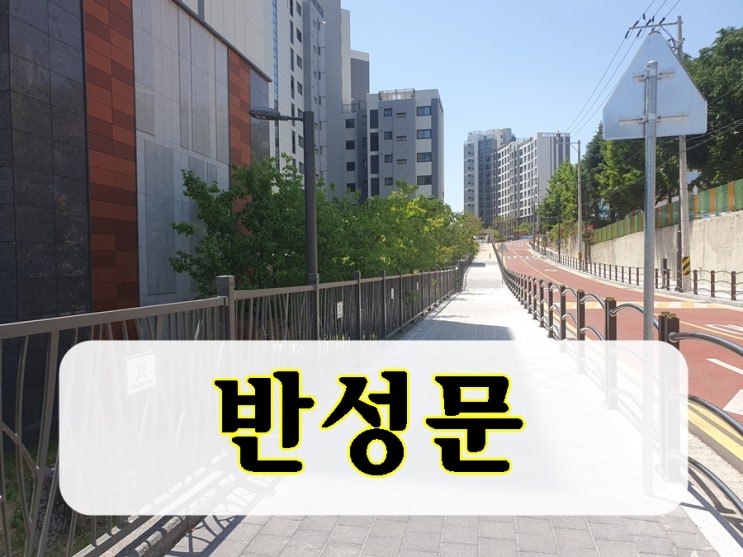  반성문 쓰는 법 따로 있지 않습니다