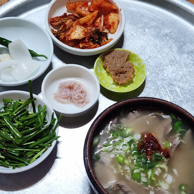  부광돼지국밥 백종원의 3대천왕 출현 부산 중구 돼지국밥 맛집 내돈내산